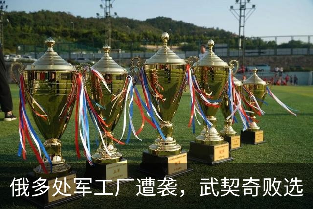 俄多处军工厂遭袭，武契奇败选