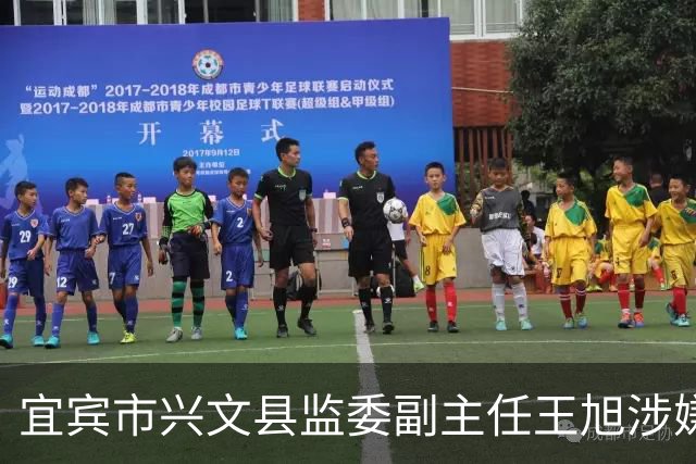 宜宾市兴文县监委副主任王旭涉嫌严重违纪违法 接受纪律审查和监察调查