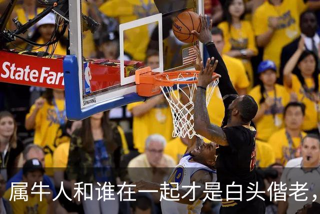 属牛人和谁在一起才是白头偕老，幸福生活到晚年