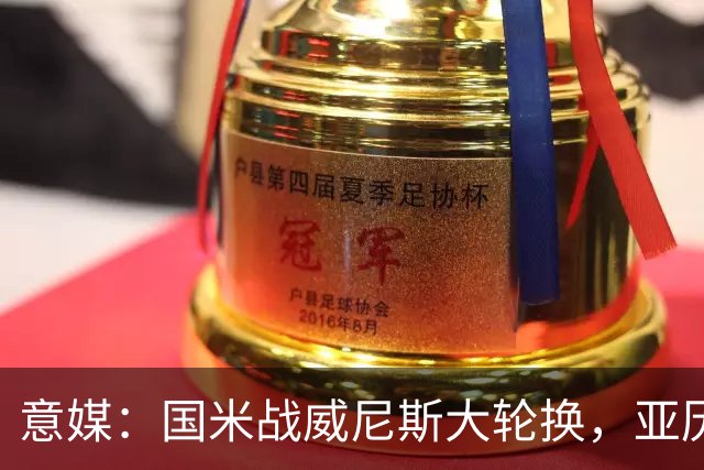 意媒：国米战威尼斯大轮换，亚历山大-斯坦科维奇可能首次首发