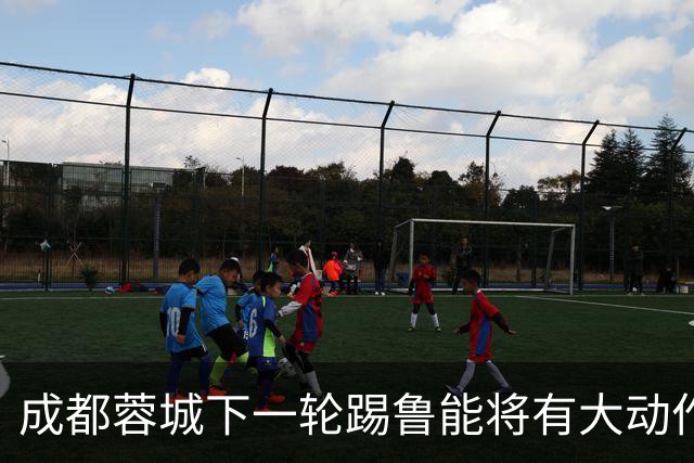 成都蓉城下一轮踢鲁能将有大动作调整，多位状态不佳的球员或无缘首发
