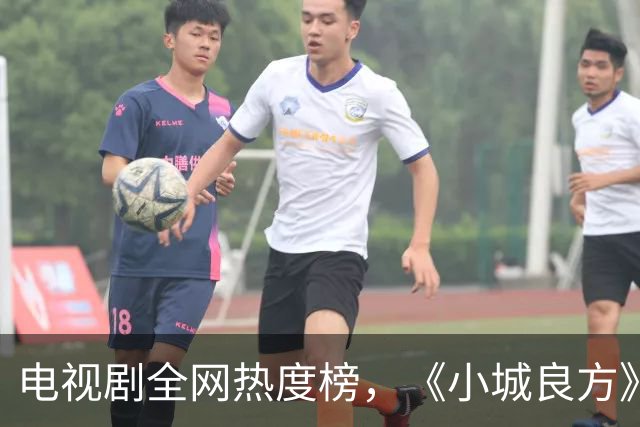 电视剧全网热度榜，《小城良方》跌至第二，第一热度高达75.24