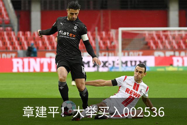 章建平！大举买入002536
