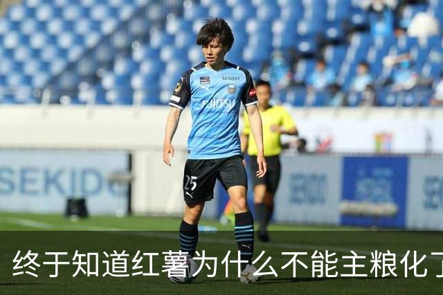 终于知道红薯为什么不能主粮化了，网友道出真相引万人共鸣！
