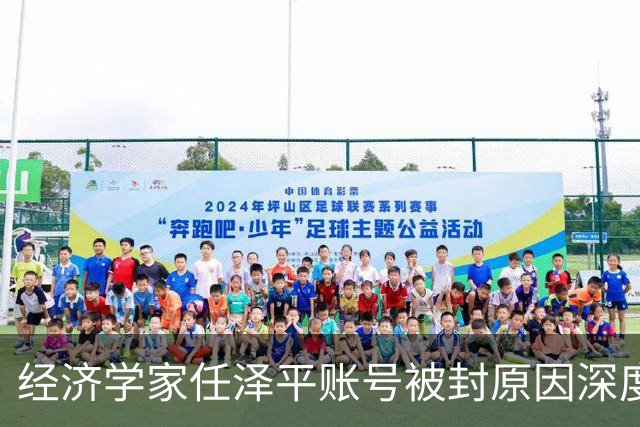经济学家任泽平账号被封原因深度分析
