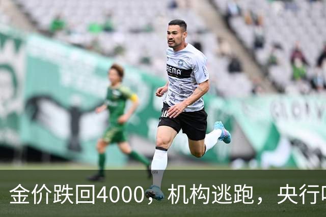 金价跌回4000，机构逃跑，央行吃饱，你相信谁？